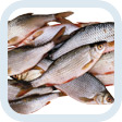 Changes in rules of fishery
