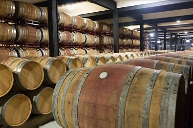 In Kuban, the production of cognac for 5 months of 2023 increased by 1.5 times