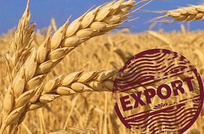 Exports of Kuban agricultural products to Africa in 2023 exceeded $235.5 million