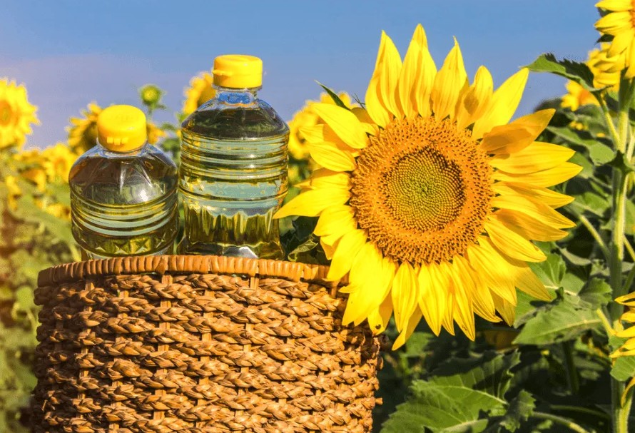 ����� �� ����������� ������������� ����������� ��������� � ��������� ������